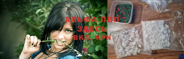 mdpv Елизово