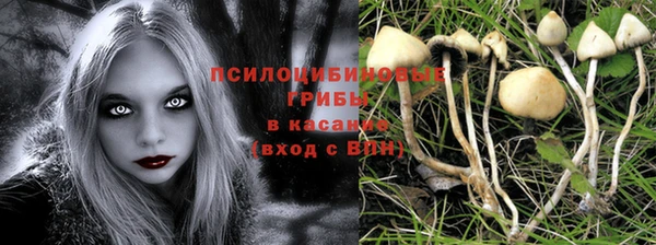 spice Елабуга