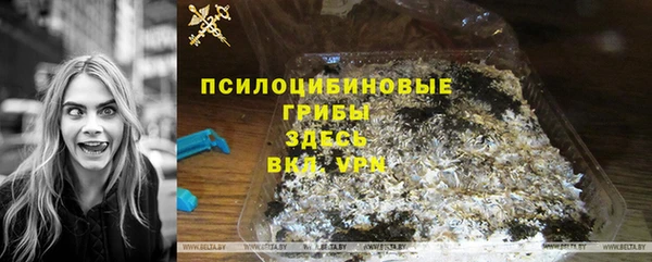 mdpv Елизово