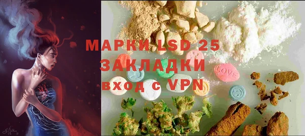 mdpv Елизово