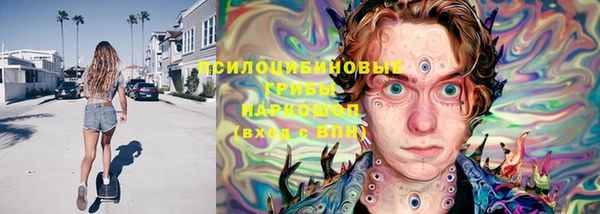 mdpv Елизово