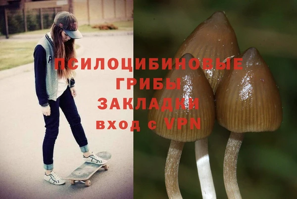 jwh Ельня